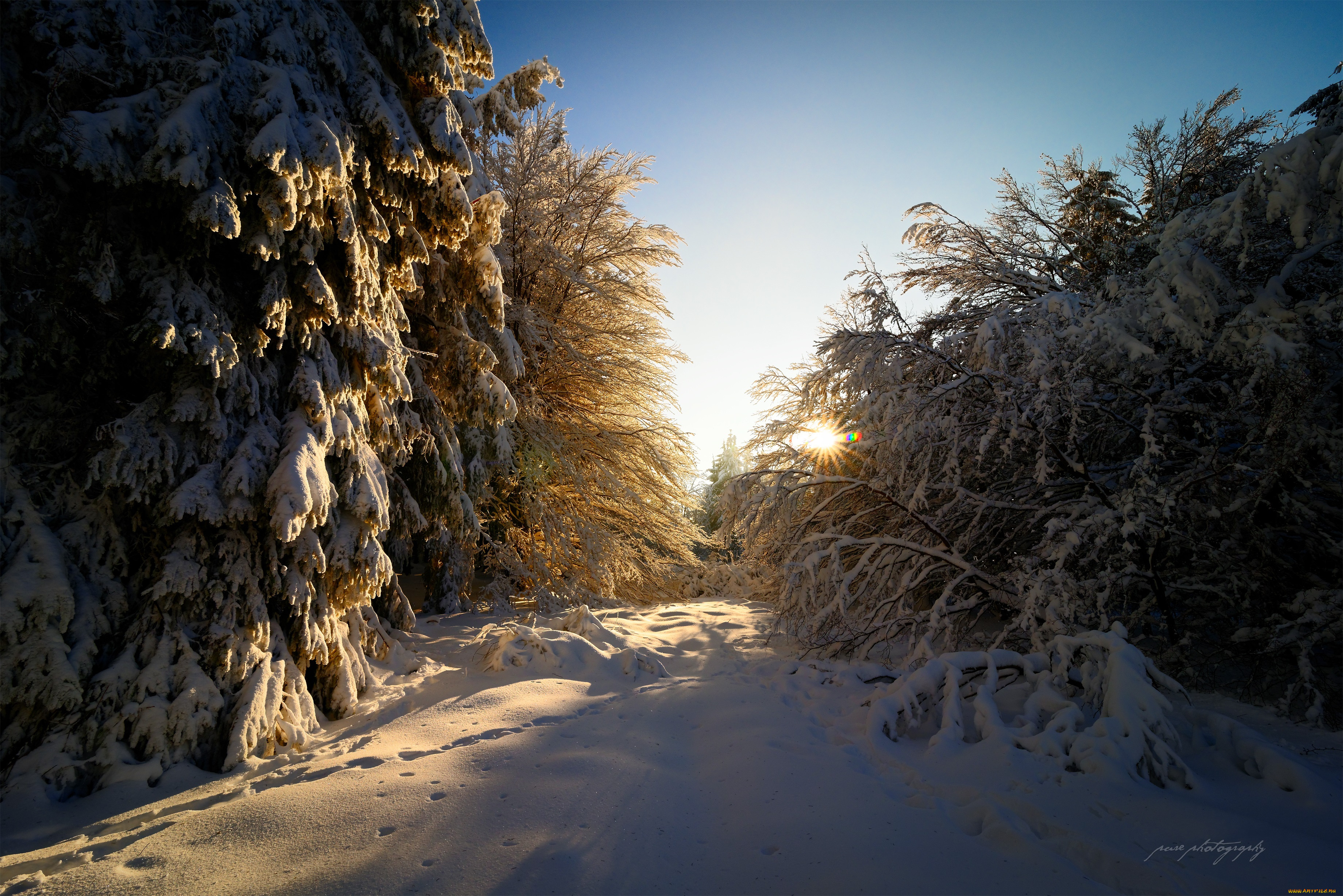 Красивая природа февраль. Зимний лес. Февраль природа. Зимний лес февраль. Февральский пейзаж.